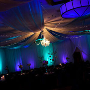 Draping Ceiling