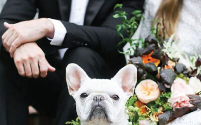 Furry friends make the event much more memorable!