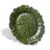 Green Sponge